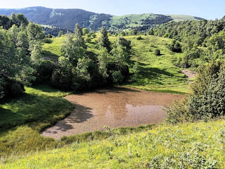 Estany de Can Roca i Pou de Glaç