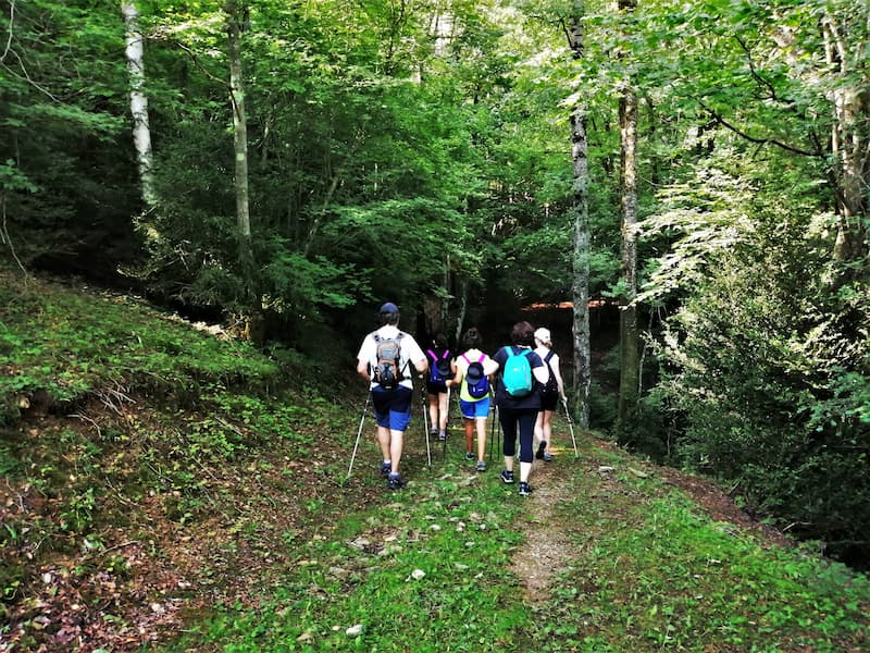 Bosc Fosc