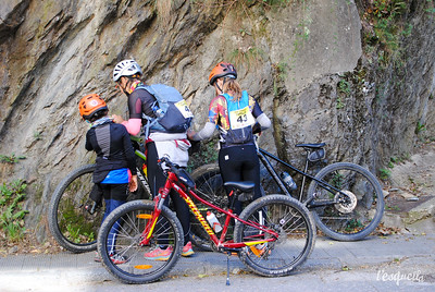 bicicletes